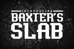 Baxter s Slab: A Typeface for Creative Expression