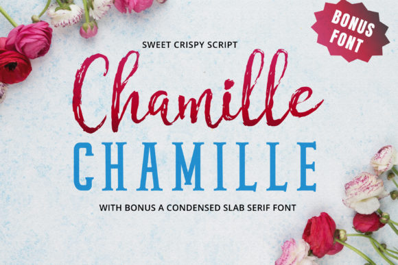 Chamille Script: Elevating Design with a Hand-Lettered Touch