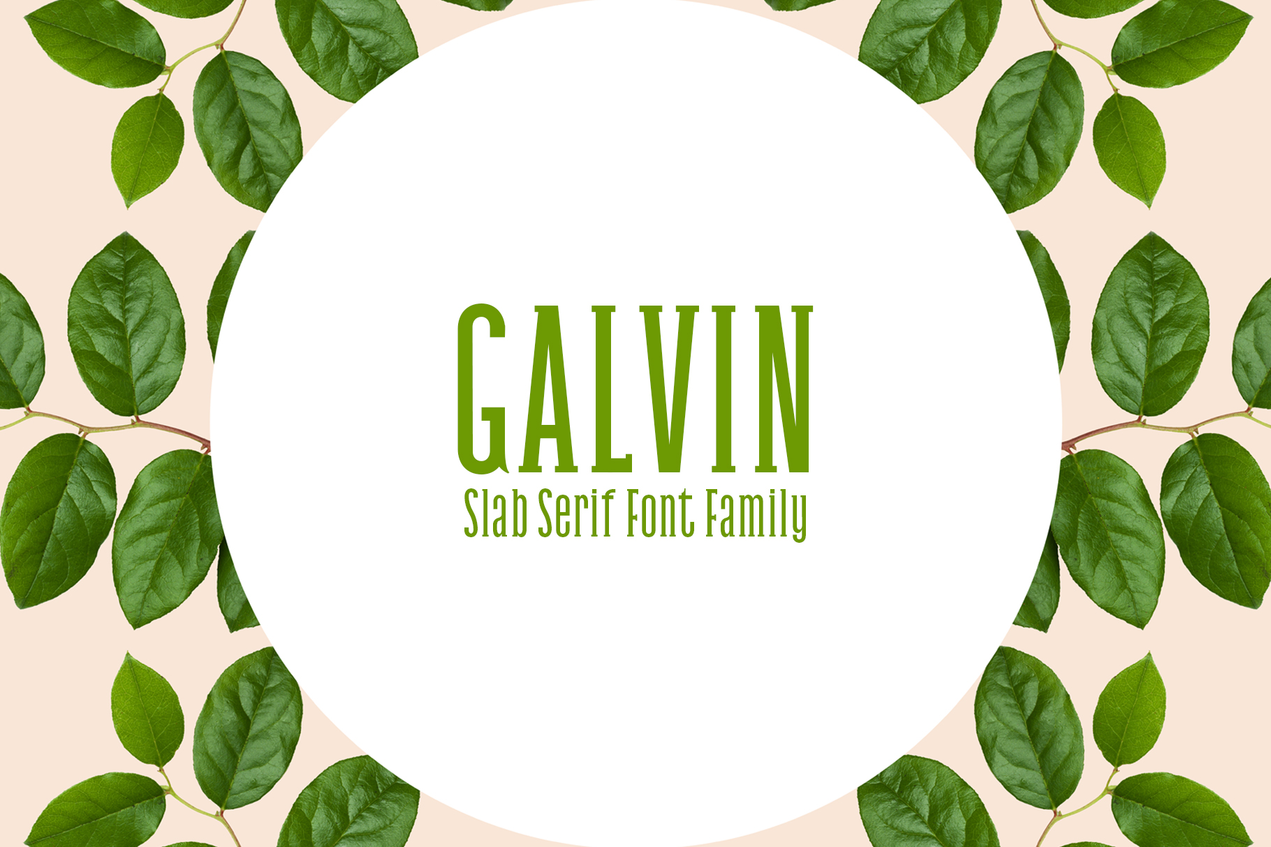 Galvin Family Pack: A Versatile Slab Serif Font for Modern and Classic Design Projects