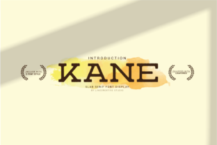 Kane: A Simple Slab Serif Font for Clean and Versatile Design Workflows